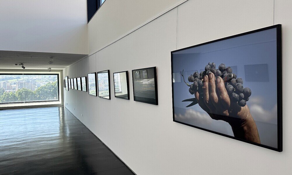 Noticias_interior_exp9