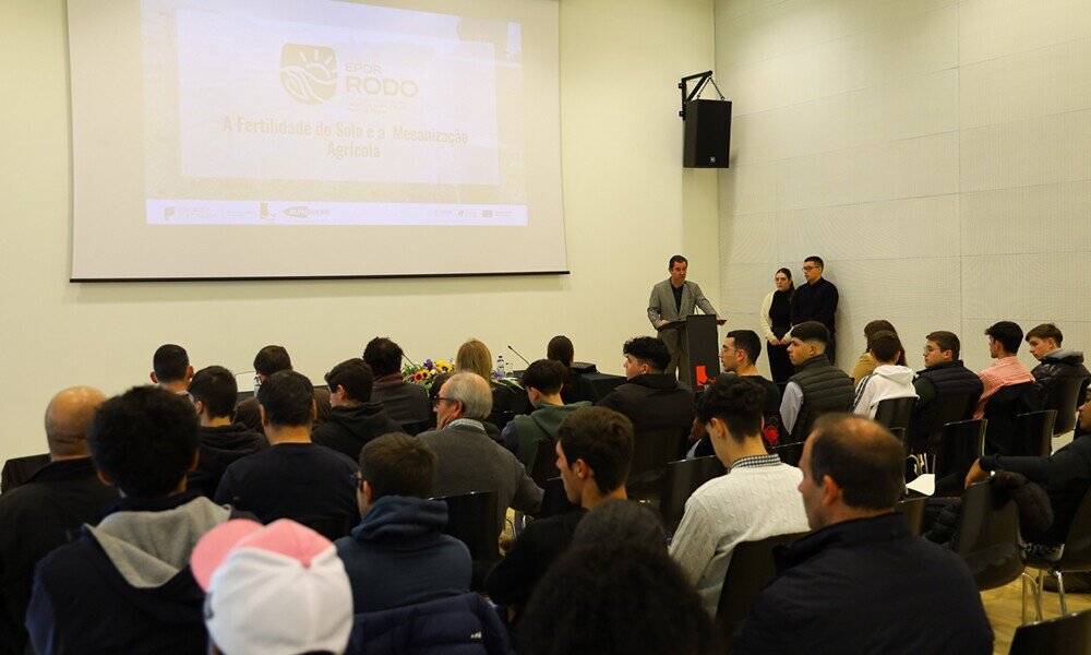 Noticias_interior_rodoagro